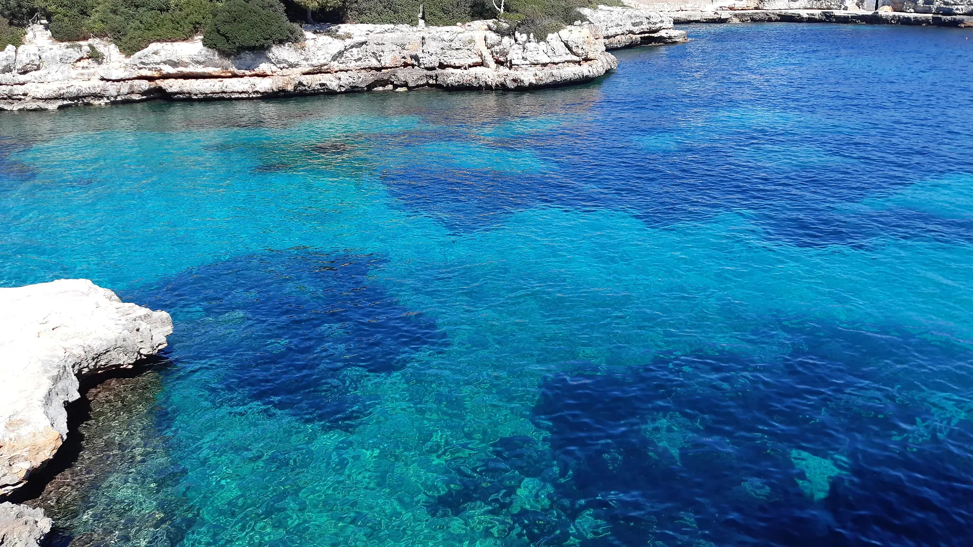 Villas Las Yucas Cala'N Blanes  Cala'N Blanes (Menorca)